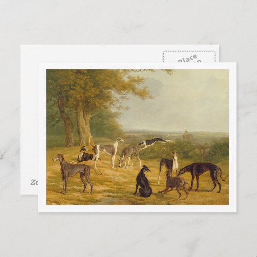 Negen Windhonden in een Landschap (olie op canvas) Briefkaart (Voorkant / Achterkant)