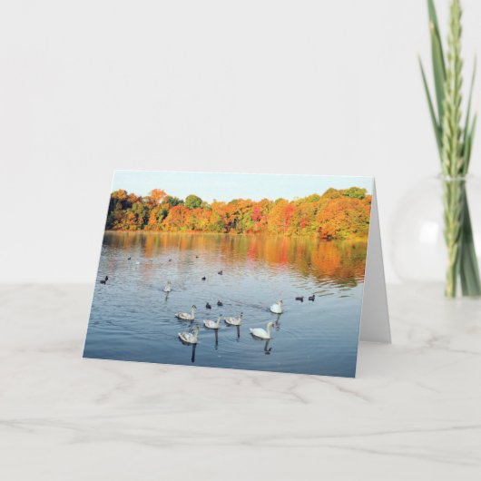 Negen zwanen kaart (Voorkant)