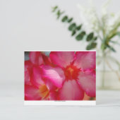 Negril, Jamaica Briefkaart (Staand voorkant)