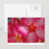 Negril, Jamaica Briefkaart (Voorkant / Achterkant)