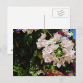 Negril, Jamaica Briefkaart (Voorkant / Achterkant)