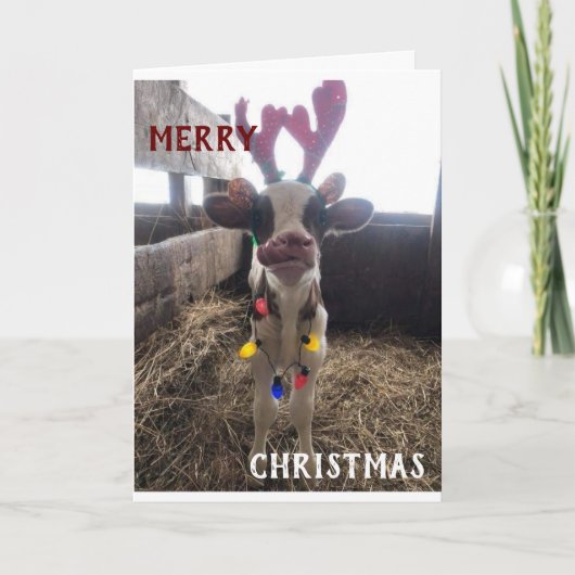 NEIGHBORS WISHED MERRY CHRISTMAS/HAPPY NEW YEAR FEESTDAGEN KAART (Voorkant)