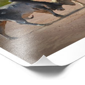 Neil Jones Photography - King of the Road. Foto Afdruk (Hoek)