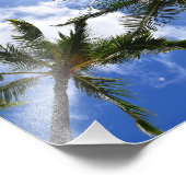 Neil Jones Photography - Palms on Waikiki Beach. Foto Afdruk (Hoek)