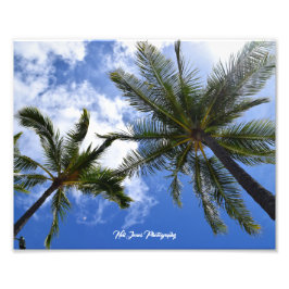 Neil Jones Photography - Palms on Waikiki Beach. Foto Afdruk