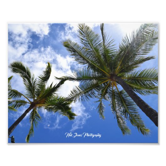 Neil Jones Photography - Palms on Waikiki Beach. Foto Afdruk (Voorkant)