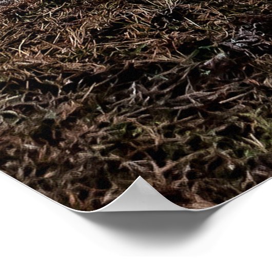 Neist Point, eiland Skye, Schotland Poster (Hoek)