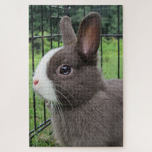 Neitherland Dwarf Pet Bunny Rabbit Jigzaag Puzzle Legpuzzel (Verticaal)