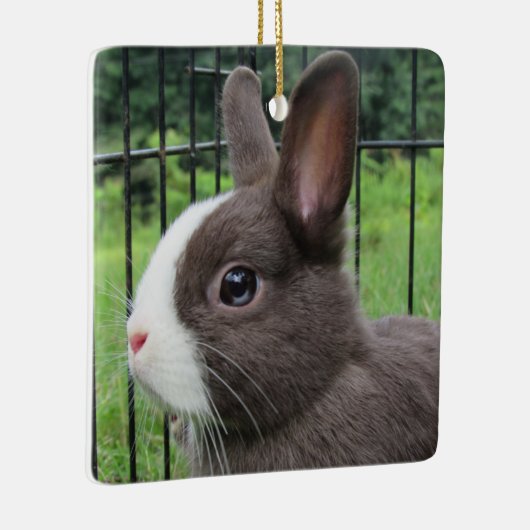 Neitherland Dwarf Pet Bunny Rabbit Keramisch Ornament (Rechts)