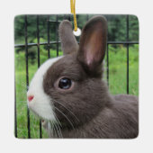 Neitherland Dwarf Pet Bunny Rabbit Keramisch Ornament (Voorkant)