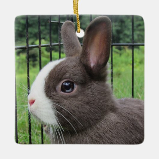 Neitherland Dwarf Pet Bunny Rabbit Keramisch Ornament (Voorkant)