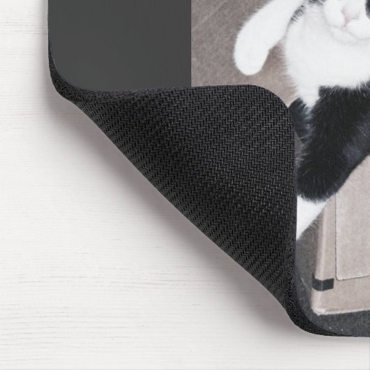 nekoo muismat (Hoek)