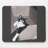 nekoo muismat (Voorkant)