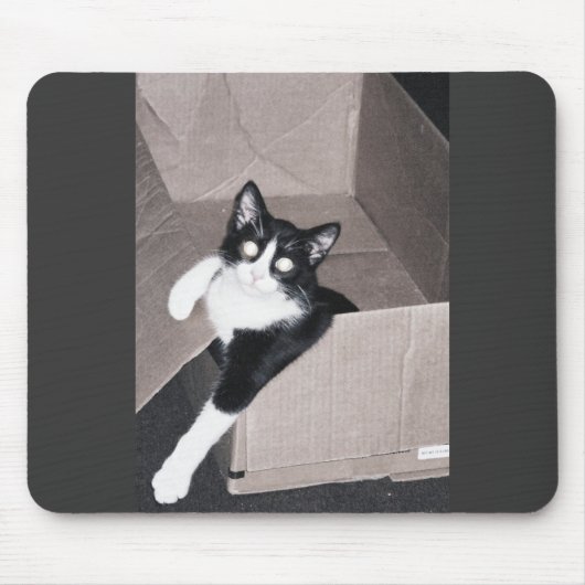 nekoo muismat (Voorkant)