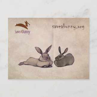 Nellie en Nesbit briefkaart