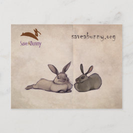 Nellie en Nesbit briefkaart