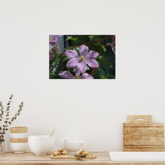 Nelly Moser Clematis 2009 Poster (Keuken)