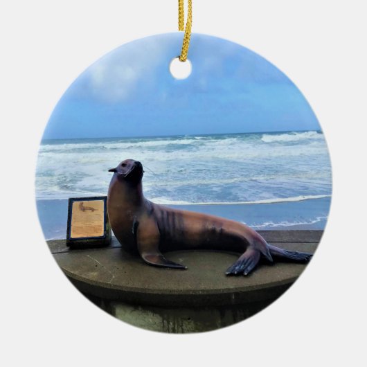 Nelscott Reef, Lincoln City, Oregon Keramisch Ornament (Voorkant)