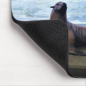 Nelscott Reef, Lincoln City, Oregon Muismat (Hoek)