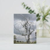 Nelson Atkins Sculpture Park Metal Tree # 2 Briefkaart (Staand voorkant)