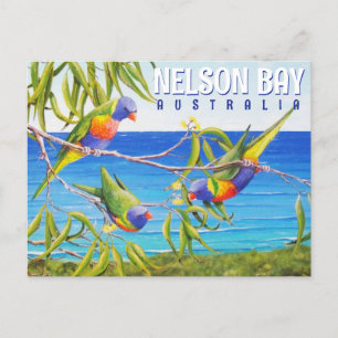 Nelson Bay Australië Vogels Lorikeet Beach Schilde Briefkaart