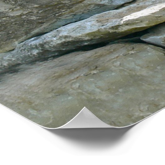 Nelson Family Portrait II Poster (Hoek)