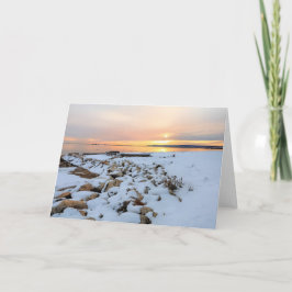 Nelson Park Plymouth Massachusetts Kaart