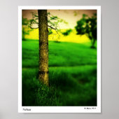 Nelson Poster (Voorkant)