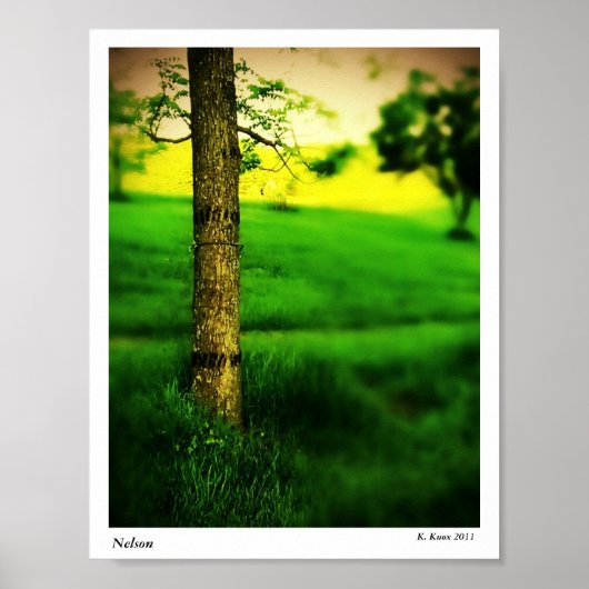 Nelson Poster (Voorkant)