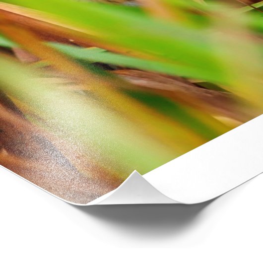 Nelsons Sparrow Peking Through Cattails Foto Afdruk (Hoek)