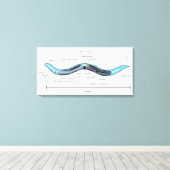 Nematode hermafrodiet Caenorhabditis elegans Canvas Afdruk (Insitu (Houten vloer))