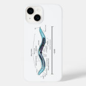 Nematode hermafrodiet Caenorhabditis elegans Case-Mate iPhone Case (Achterkant)