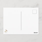 Nemen van AIM roodstaarthavik Briefkaart (Achterkant)