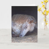 Nemend het gemakkelijke verjaardagskaart kaart (Gele Bloem)