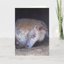 Nemend het gemakkelijke verjaardagskaart