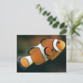 Nemo Briefkaart (Staand voorkant)