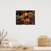 Nemo Clown Fish Print (Keuken)