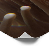 Nemo Clown Fish Print (Hoek)