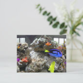 Nemo met zijn ang briefkaart (Staand voorkant)