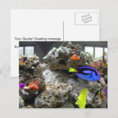 Nemo met zijn ang briefkaart (Voorkant / Achterkant)