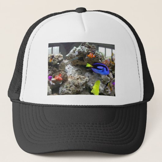 Nemo met zijn ang trucker pet (Voorkant)