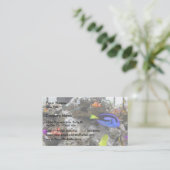 Nemo met zijn ang visitekaartje (Staand voorkant)