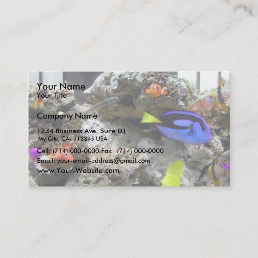 Nemo met zijn ang visitekaartje (Voorkant)