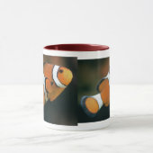 Nemo-Mok Mok (Midden)