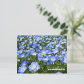 NEMOPHILA（Baby Blue Eyes） Briefkaart (Staand voorkant)