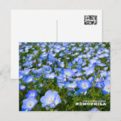 NEMOPHILA（Baby Blue Eyes） Briefkaart (Voorkant / Achterkant)