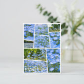 NEMOPHILA（Baby Blue Eyes） Briefkaart (Staand voorkant)