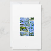 NEMOPHILA（Baby Blue Eyes） Briefpapier (Achterkant)