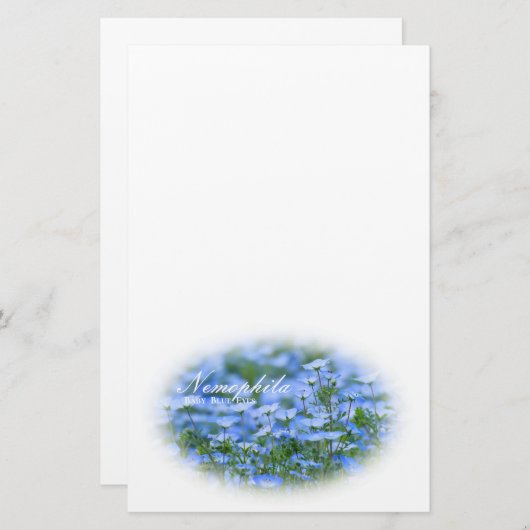 NEMOPHILA（Baby Blue Eyes） Briefpapier (Voorkant / Achterkant)