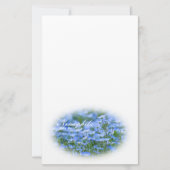 NEMOPHILA（Baby Blue Eyes） Briefpapier (Voorkant)